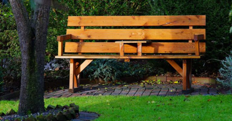 Wooden Bench - Wooden Bench in Garden