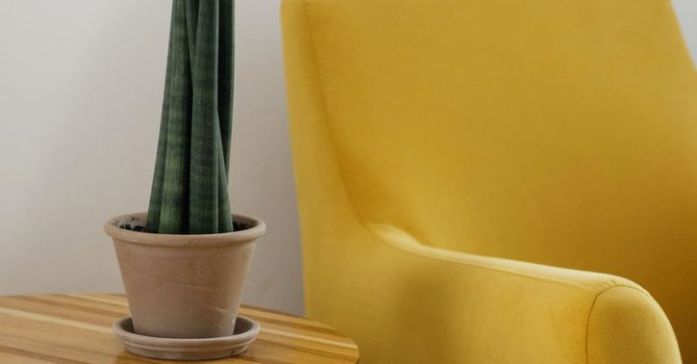 Laminate Furniture - Creative composition of comfortable yellow armchair with soft cushion and round wooden table with green home plant in pot against white wall in light apartment or flat with wooden floor