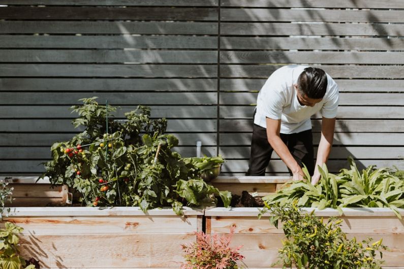 Garden Diy - man in white t-shirt and white pants sitting on brown wooden bench