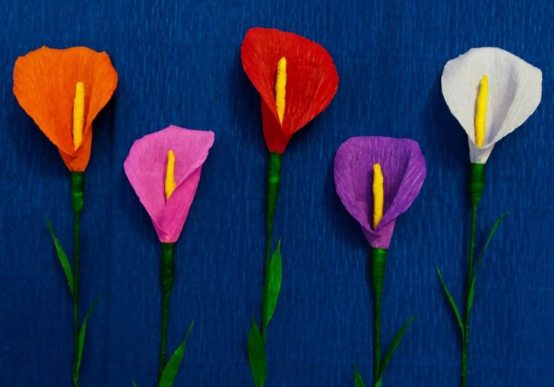 Paper Flower - red and white tulip flower