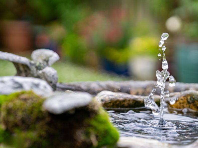 Water Feature - water falling from brown wooden log